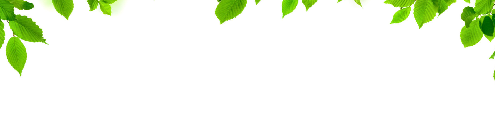 main background